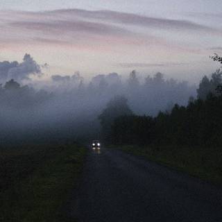 Fogy sunrise wallpaper