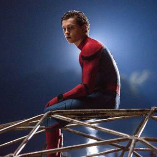 Tom Holland The Devil All the Time wallpaper