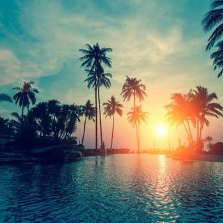 Sunset pool wallpaper