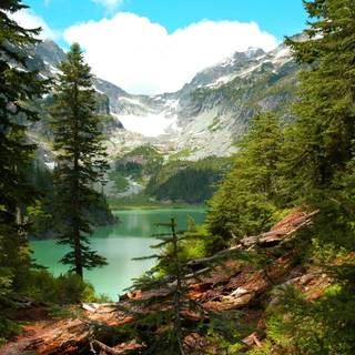 Washington mountains wallpaper