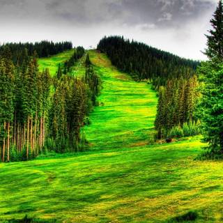 Desktop summer meadow 1920x1080 wallpaper