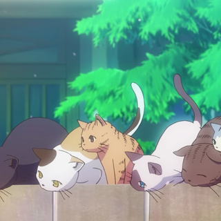 Anime pets wallpaper