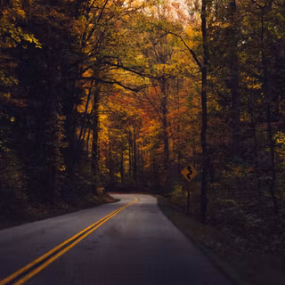 Autumn highway wallpaper