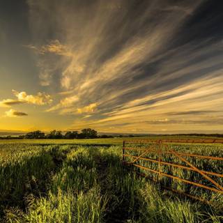Summer farming wallpaper
