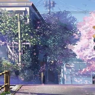 Sakura trees aesthetic Ps4 wallpaper