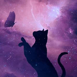 Cat art wallpaper