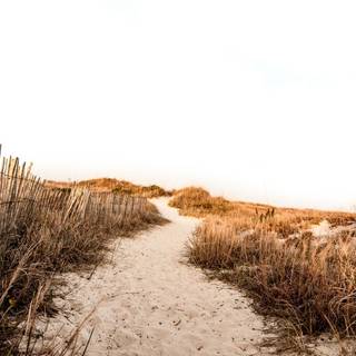 Beach path wallpaper
