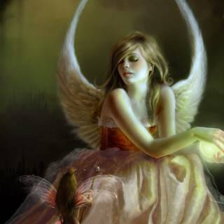 Perfect fairies wallpaper