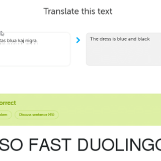 Duolingo meme wallpaper