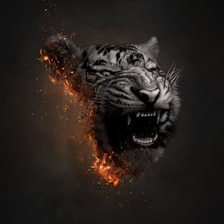 Amoled tiger wallpaper