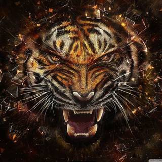 Amoled tiger wallpaper