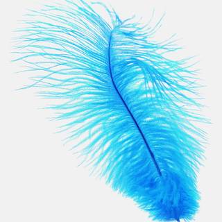 Android HD white wallpaper