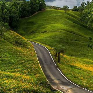 Mobile road HD wallpaper