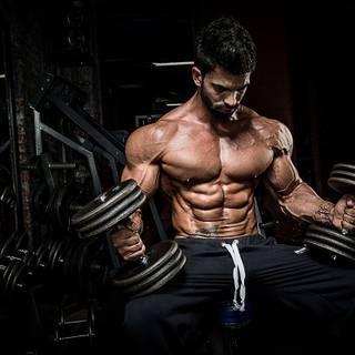 Sergi bodybuilder wallpaper