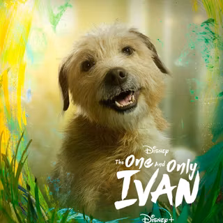 The One and Only Ivan wallpaper