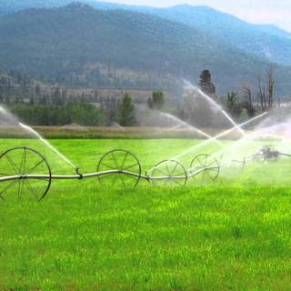 Cultivated land wallpaper