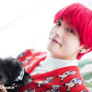 Taehyung and his dog wallpaper