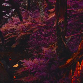 Landscape purple aesthetic wallpaper