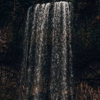 Millaa Millaa falls wallpaper