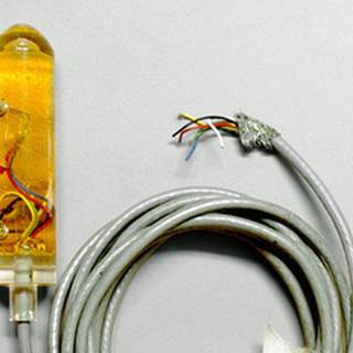 Alfred Kinsey wallpaper