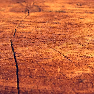 Brown wood wallpaper