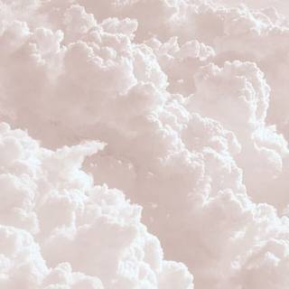 White aesthetic iPhone wallpaper