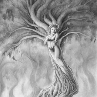 Pencil drawings wallpaper