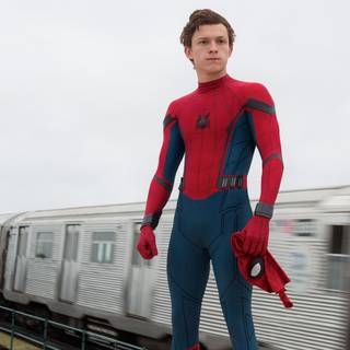 Spider Man Tom Holland HD wallpaper