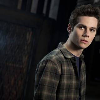 Stiles Stilinski desktop wallpaper