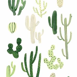 Cute aesthetic cactus wallpaper