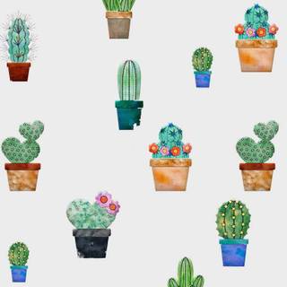 Cute aesthetic cactus wallpaper