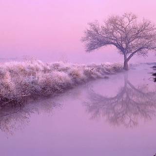 Landscape purple aesthetic wallpaper