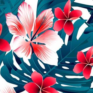 Nice aesthetic flower wallpaper