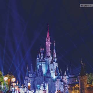 WDW wallpaper