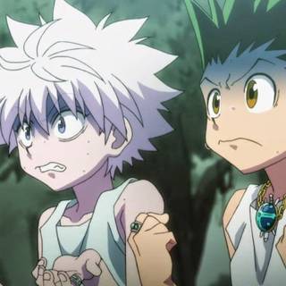 HxH anime Ps4 wallpaper