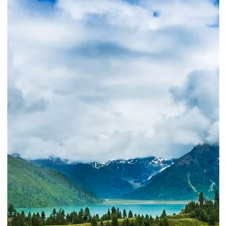 Summer season mobile wallpaper