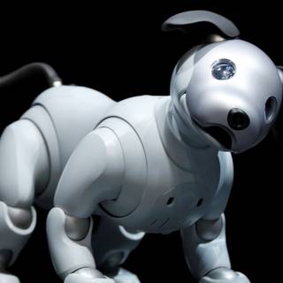 Robot dog wallpaper