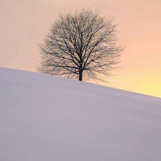 Minimalist snow wallpaper