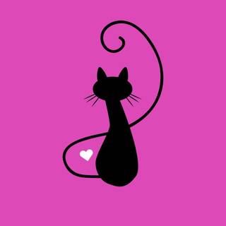 Pink cat wallpaper