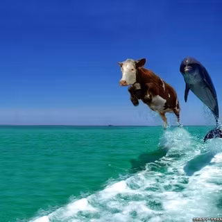 Weird animals wallpaper