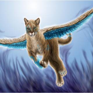 Cats with wings wallpaper