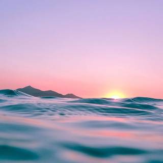 Summer cuteness wallpaper