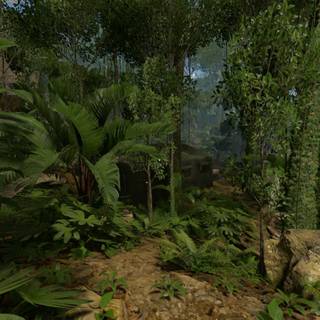 Green Hell wallpaper