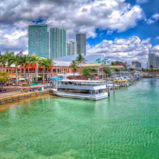 Summer Miami wallpaper