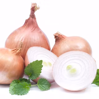 Onions wallpaper