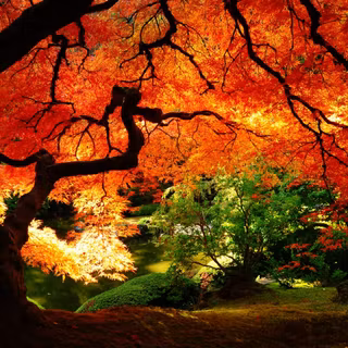 Autumn Falls wallpaper