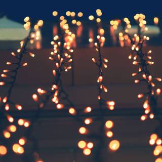 Autumn lights wallpaper