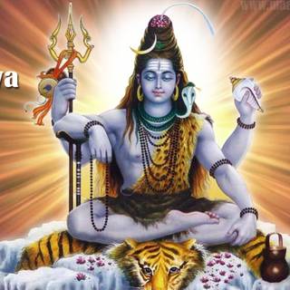 Shiva meditating wallpaper