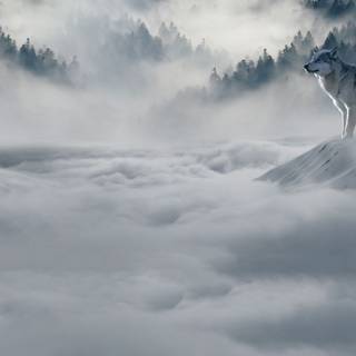 Mac computer wolf wallpaper