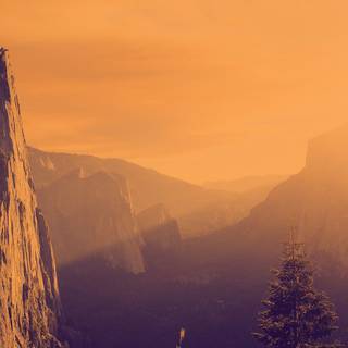 Warm colors wallpaper